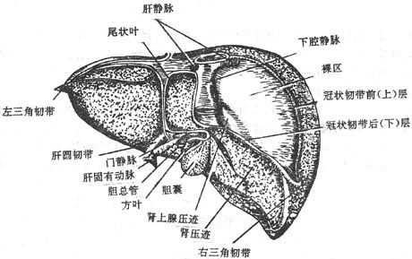 点击图片进入下一页